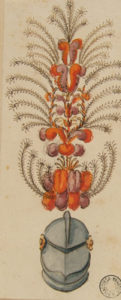 Elmo piumato